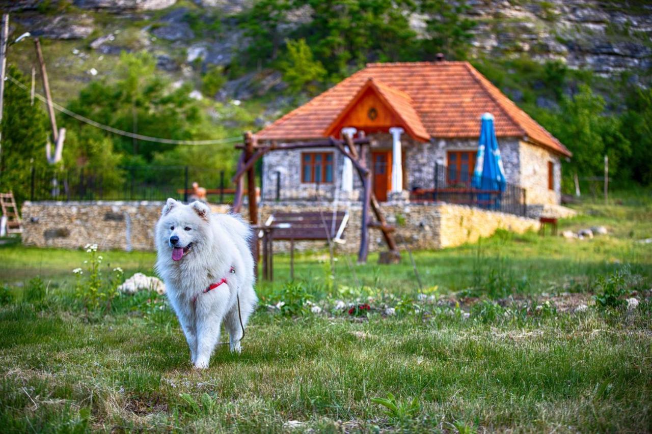 Casa Agricultorului Varzari Butuceny Bagian luar foto