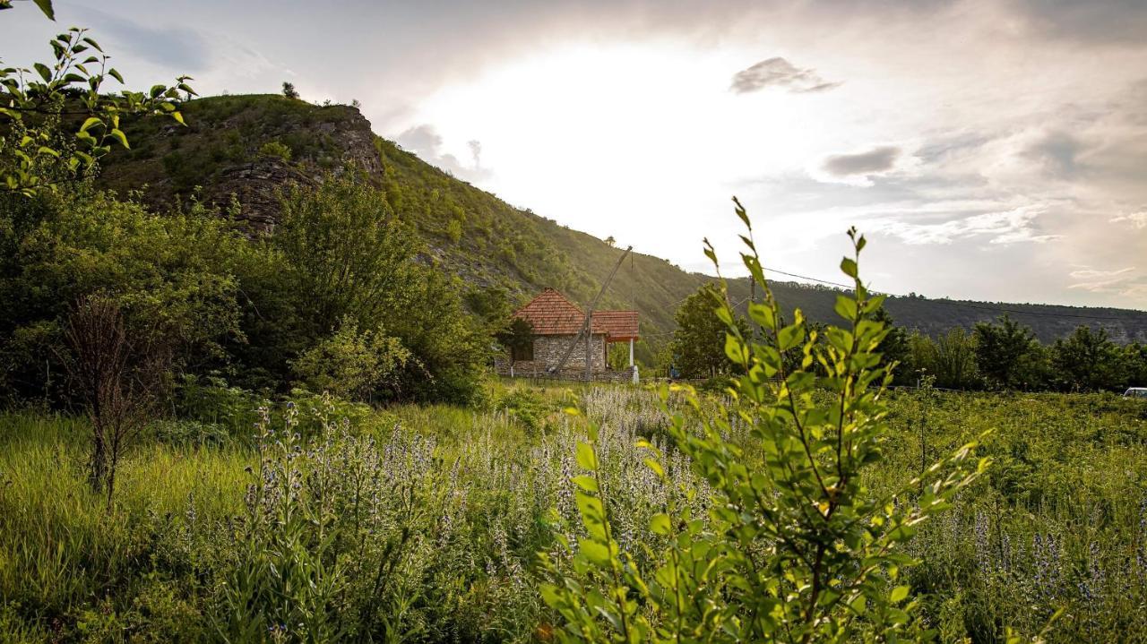 Casa Agricultorului Varzari Butuceny Bagian luar foto