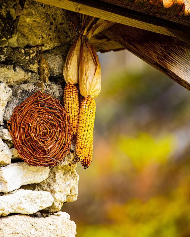 Casa Agricultorului Varzari Butuceny Bagian luar foto