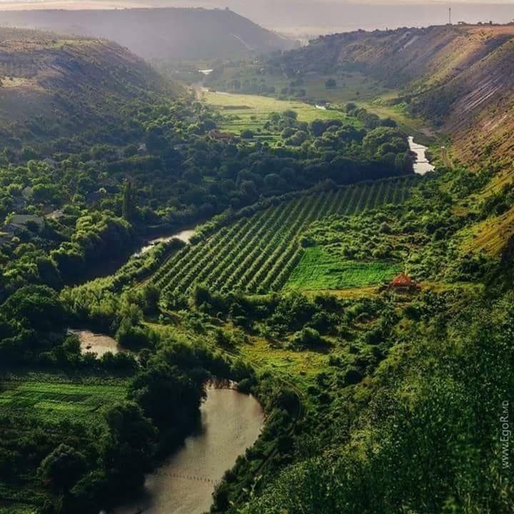 Casa Agricultorului Varzari Butuceny Bagian luar foto